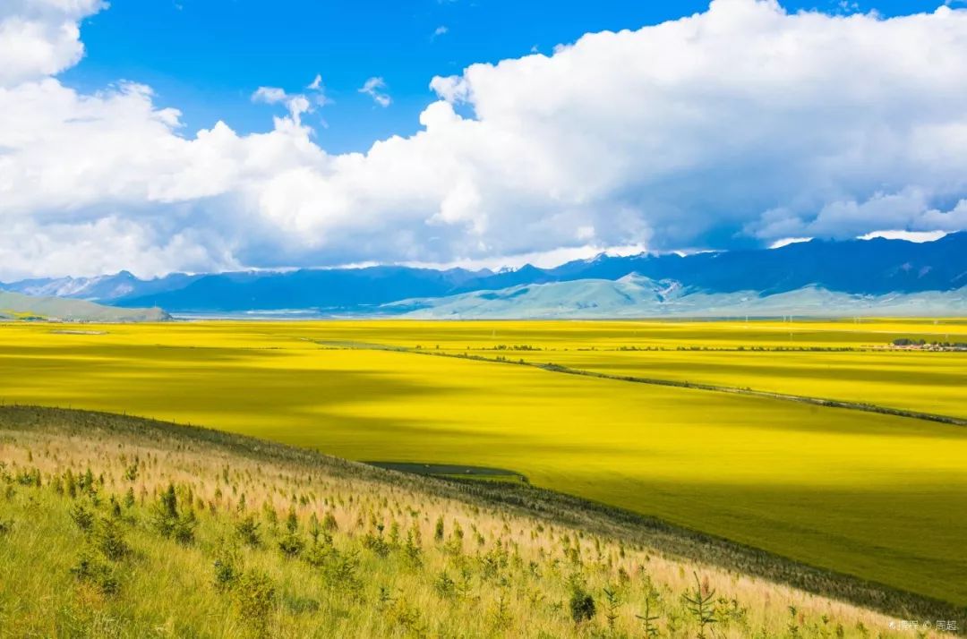 青海演员倾情演绎，青海故事独白心声